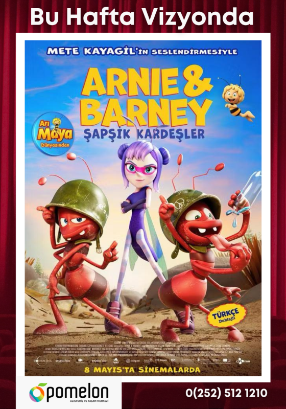 Sinema Pomelon - 2