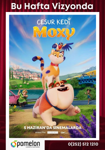 Sinema Pomelon - 3